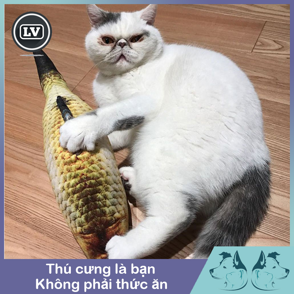 Đồ Chơi Tương Tác Hình Cá Cho Mèo Tập Nhai Phụ kiện Long Vũ