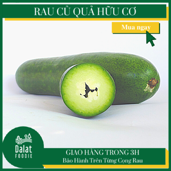 Bí Đao 500G - [Giao ngay tại TPHCM]