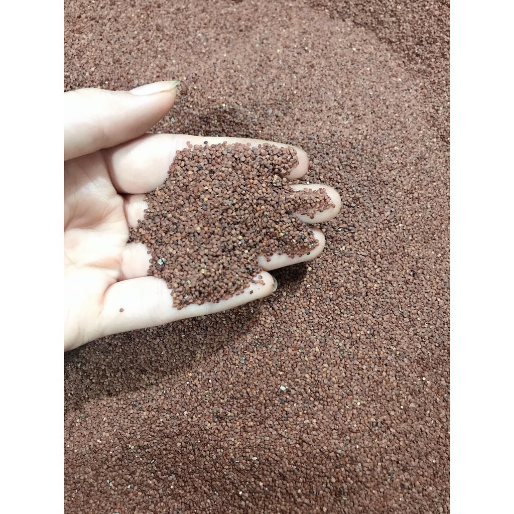 Ngũ hoa hạt collagen làm trắng da