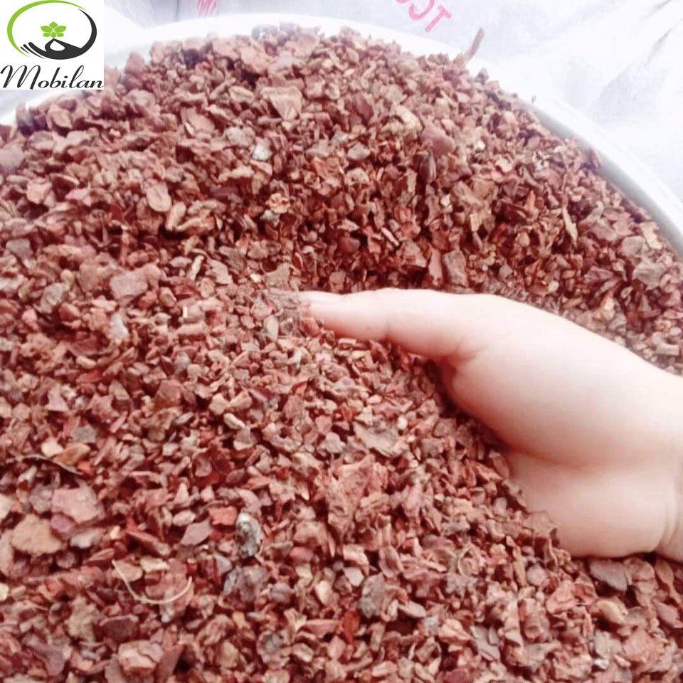 Vỏ thông nhỏ đẹp loại 1cm - 1kg