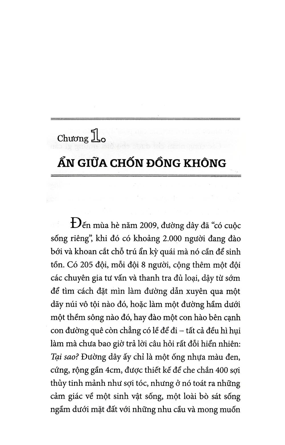 Cuộc nổi dậy ở phố Wall