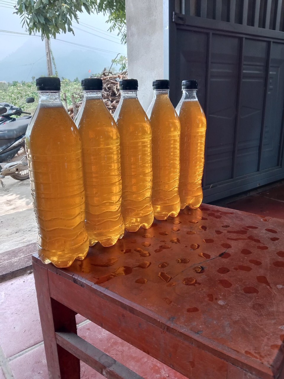 Mật Ong hoa rừng Tam Đảo ( Thái Nguyên ) 1 lít 180k