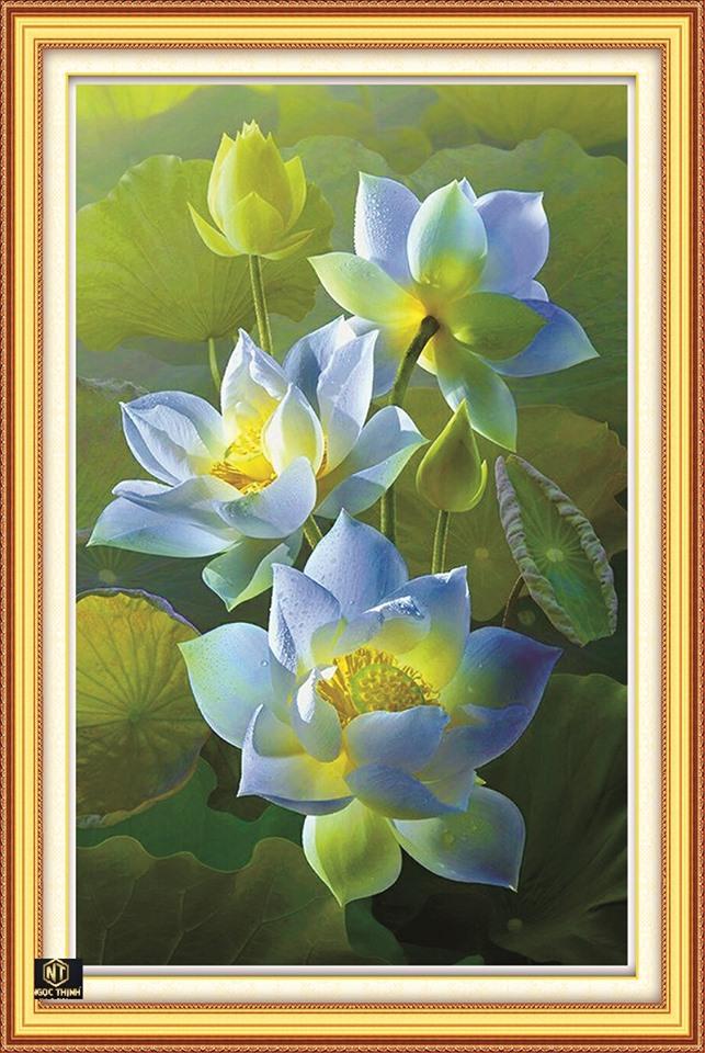 Tranh đính đá Hoa Sen VS125 kích thước 75cm x 50cm Siêu Thị Tranh Thêu