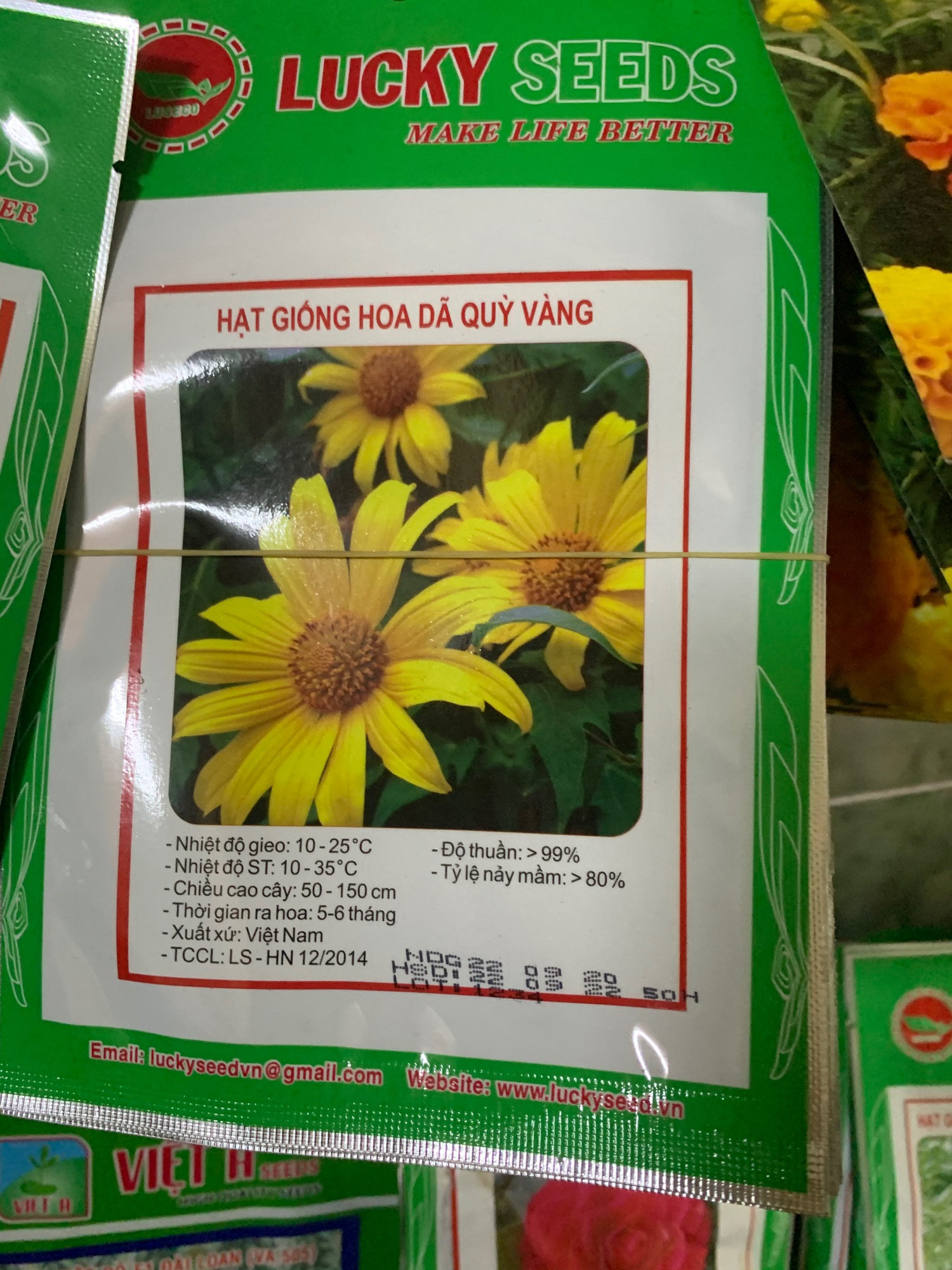 HẠT GIỐNG HOA DÃ QUỲ VÀNG