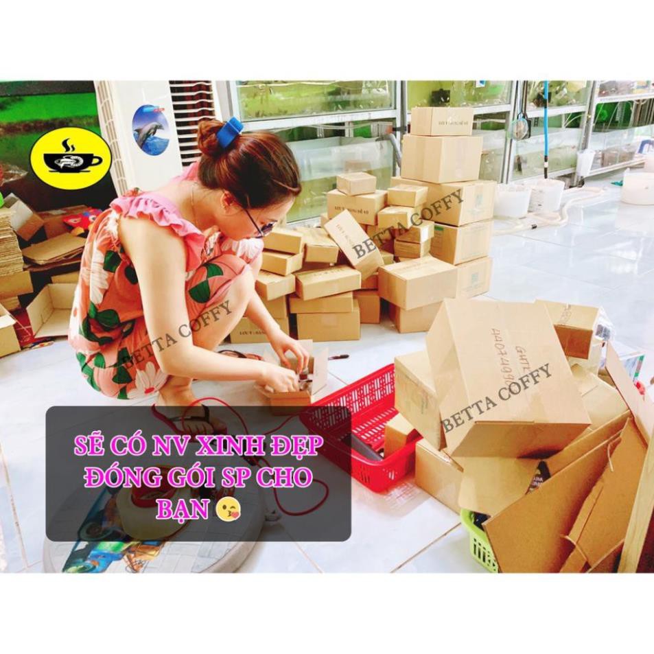Cám BECO 2 - Thức ăn cho cá lớn