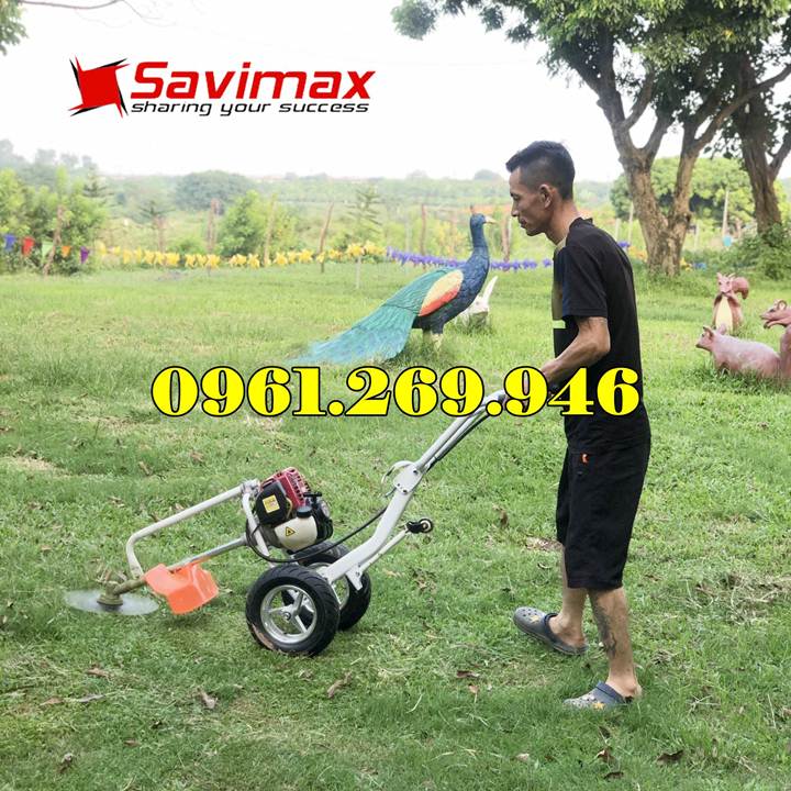 Máy cắt cỏ đẩy tay động cơ GX35