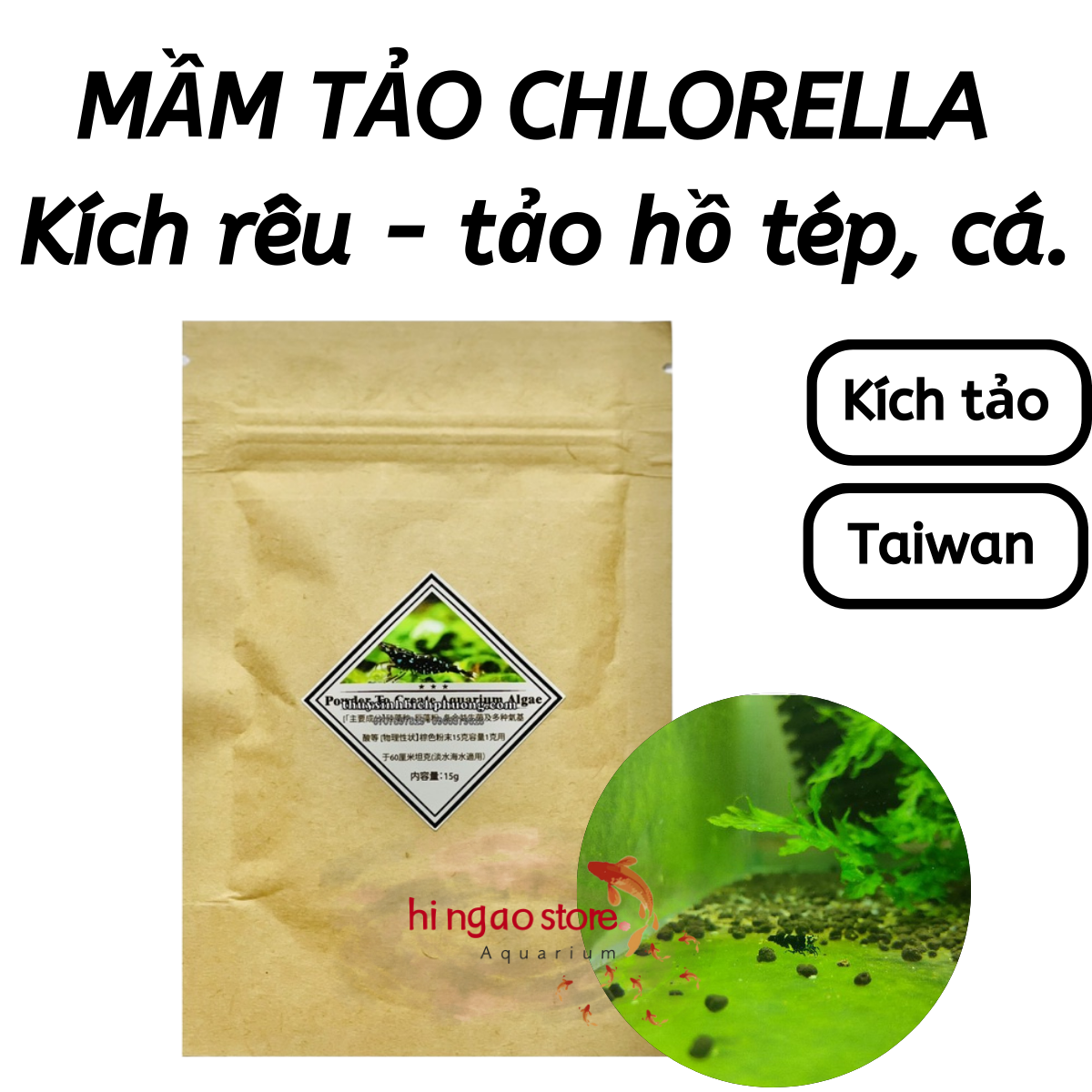 Germ algae Taiwan size moss green algae-aquarium decoration cloves, aquarium | hingaostore.