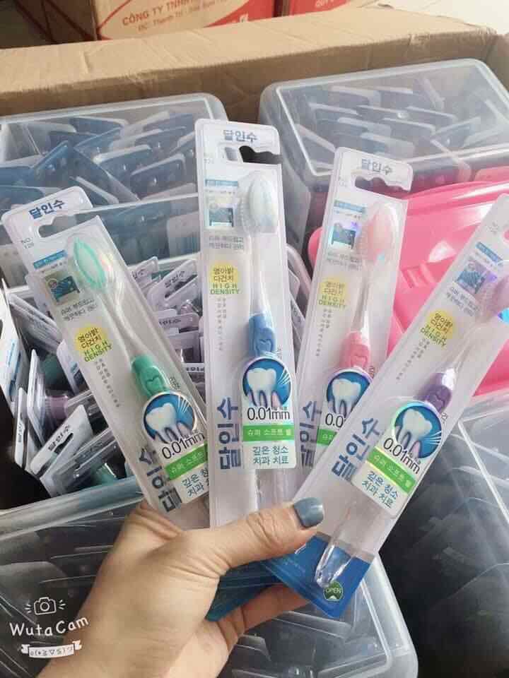 Bàn chải đánh răng Hàn Quốc - BCDR