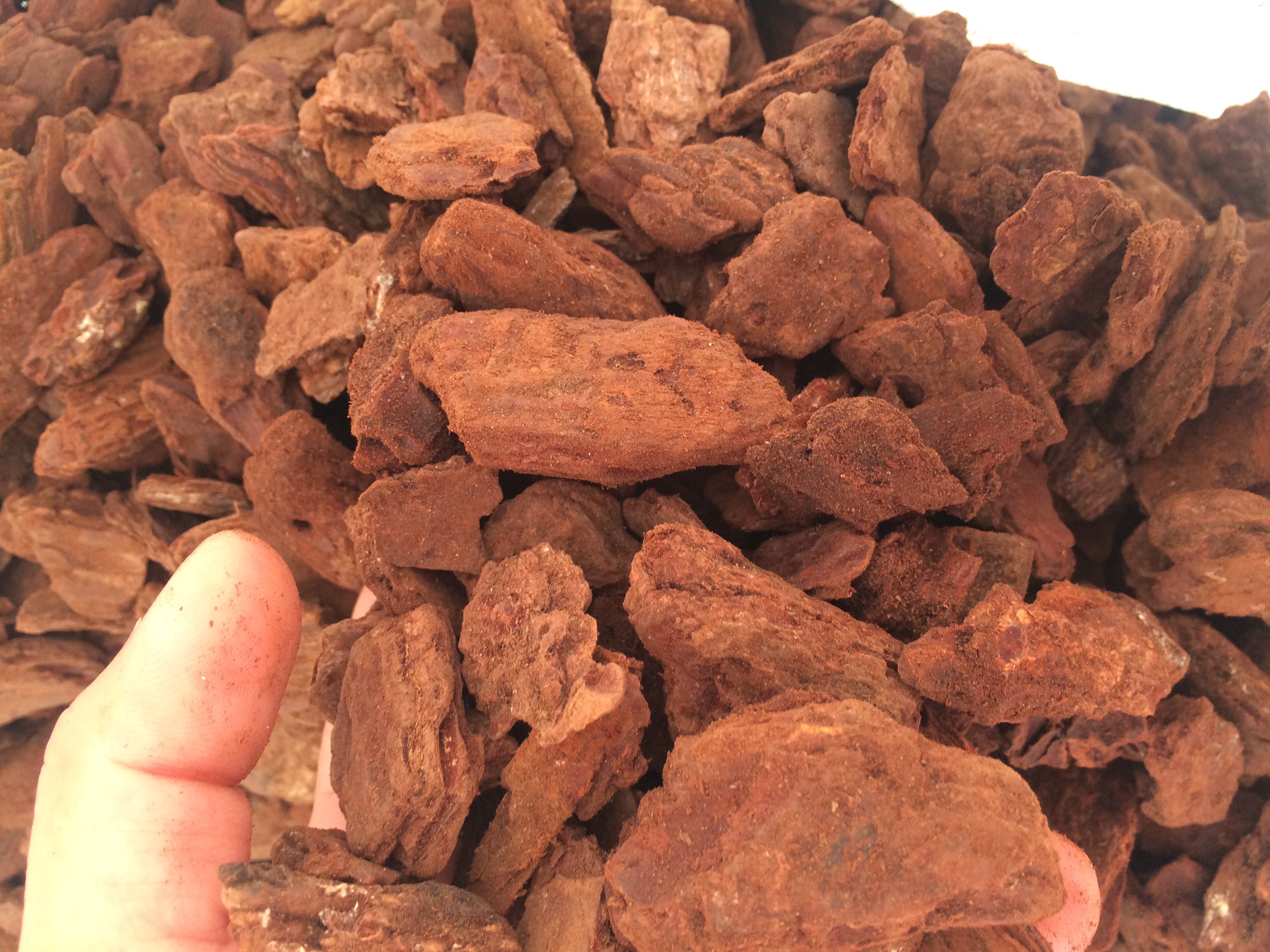 1kg vỏ thông xay hạt đỗ trồng lan