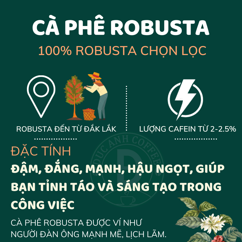 Túi 500g cà phê rang mộc DUC ANH COFFEE tất cả các tùy chọn robusta và arabica – xay dùng pha phin, cafe pha máy, cafe hạt – cà phê nguyên chất -… – DUC ANH COFFEE – top1shop