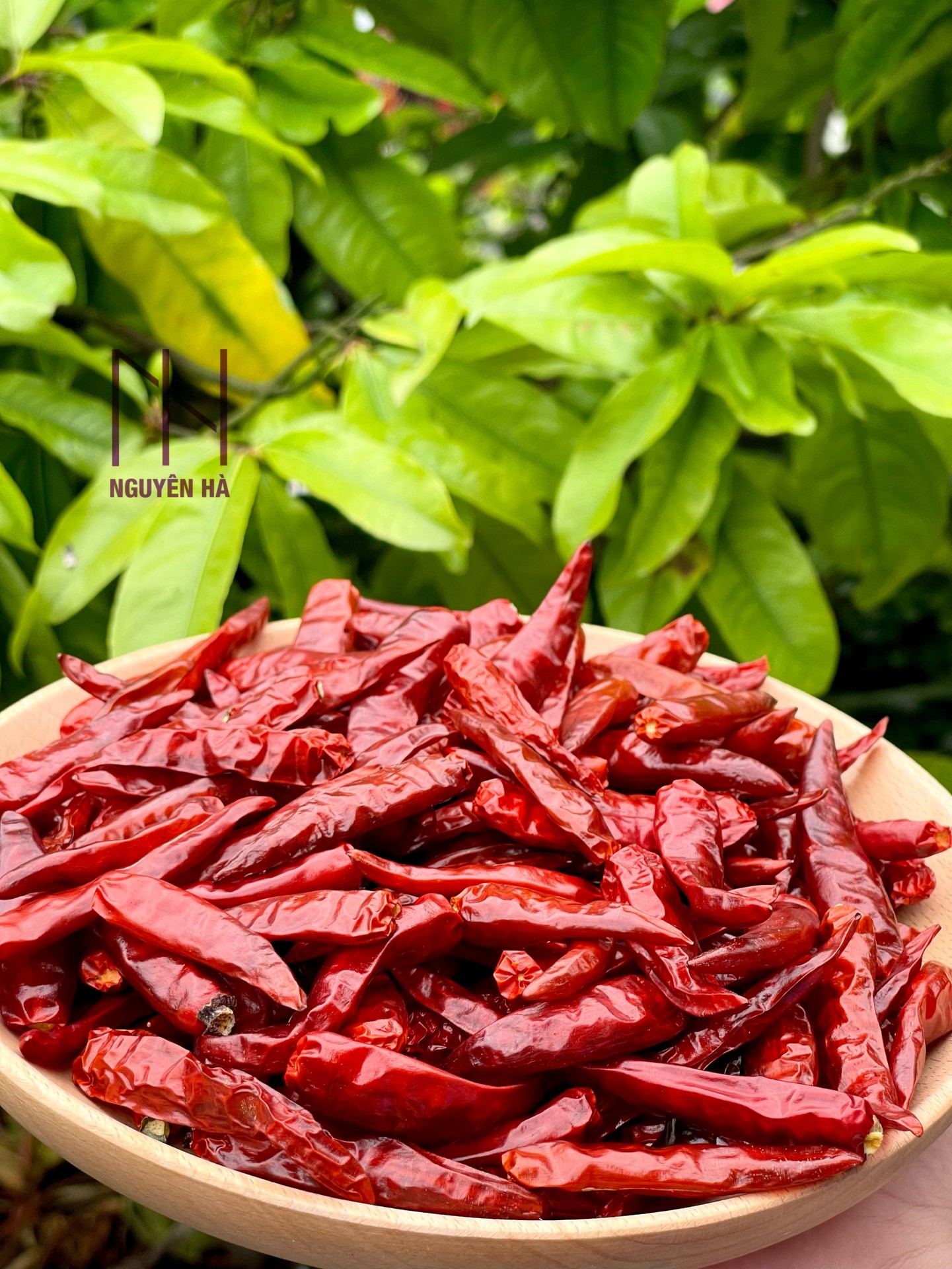 Ớt Huế sấy lạnh