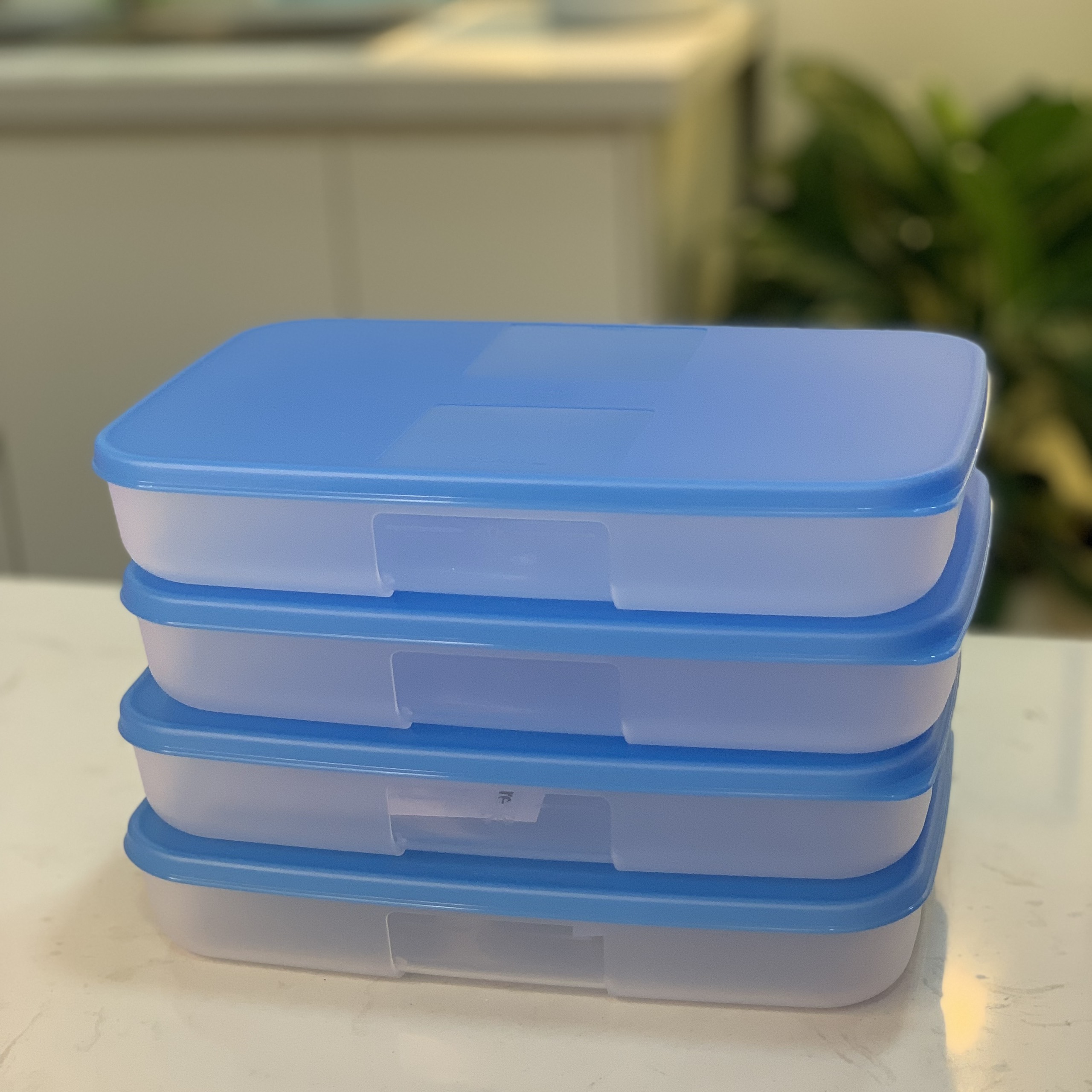 Hộp Trữ Đông Dẹt Tupperware 550ml - Tupperware Mall Chợ Lớn