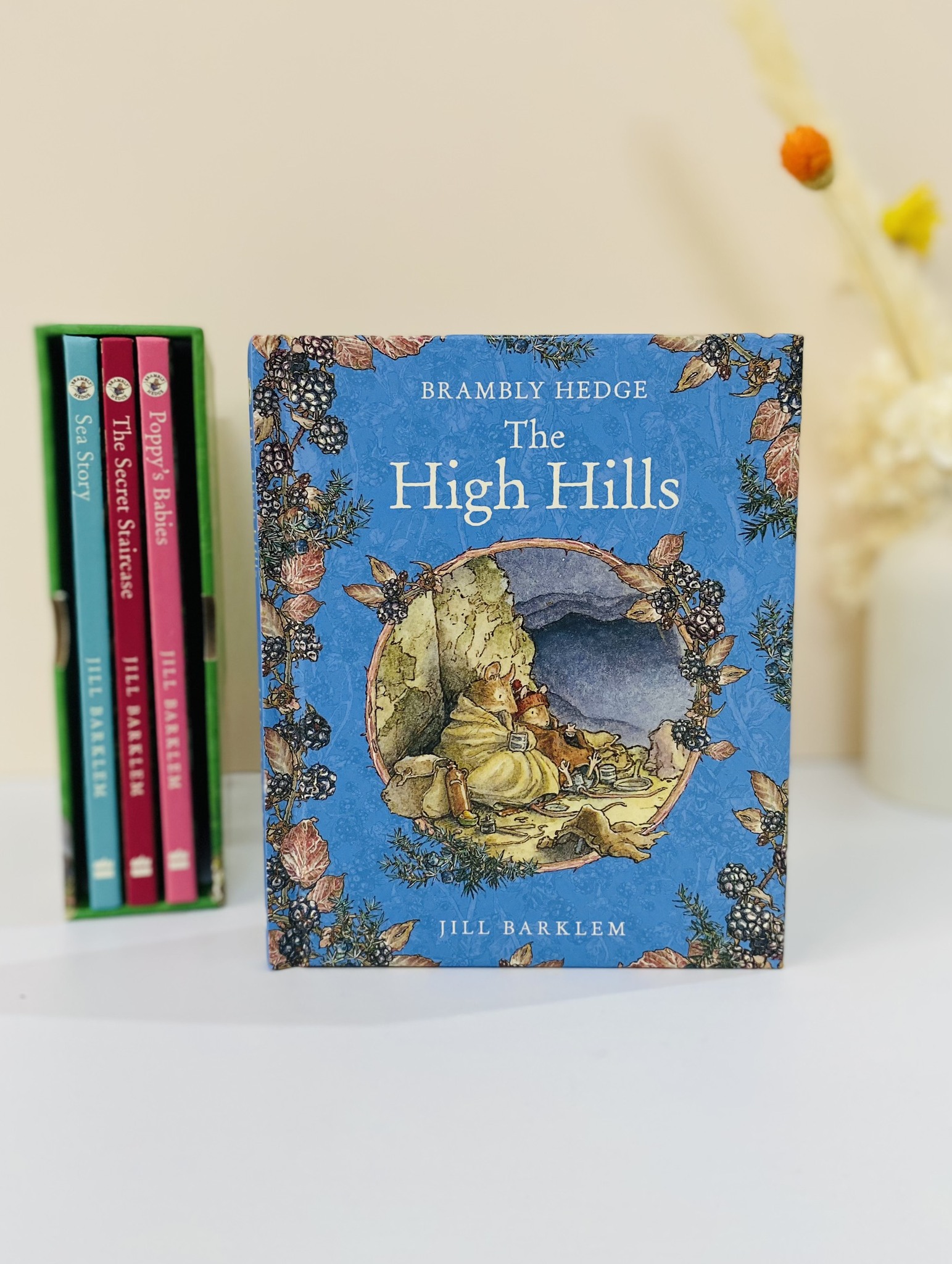 Adventures in Brambly Hedge