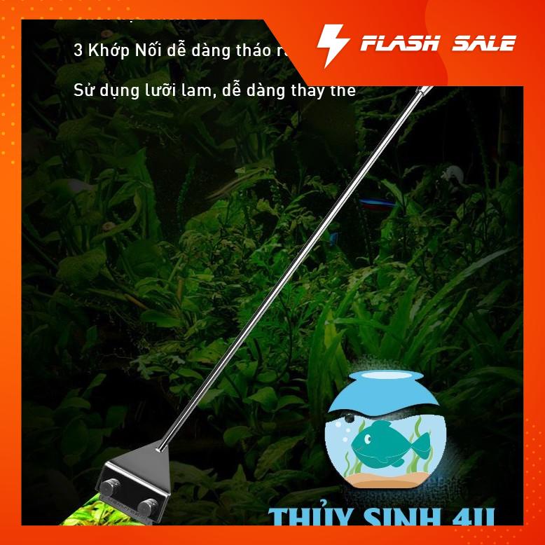 Dao cạo rêu Inox - loại bỏ rêu hại bám kính hiệu quả