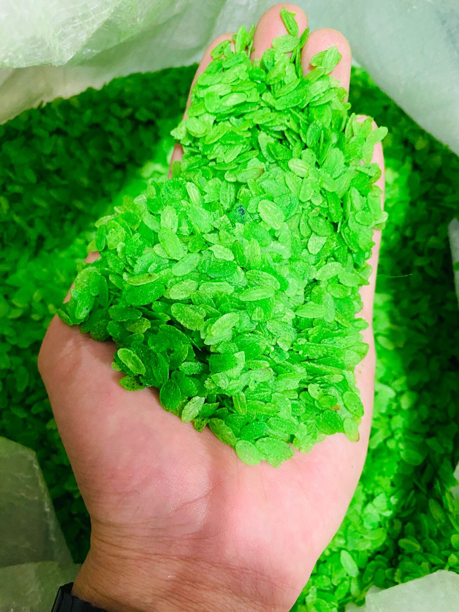 1kg cốm dẹp xanh cho Hamster & Sóc.