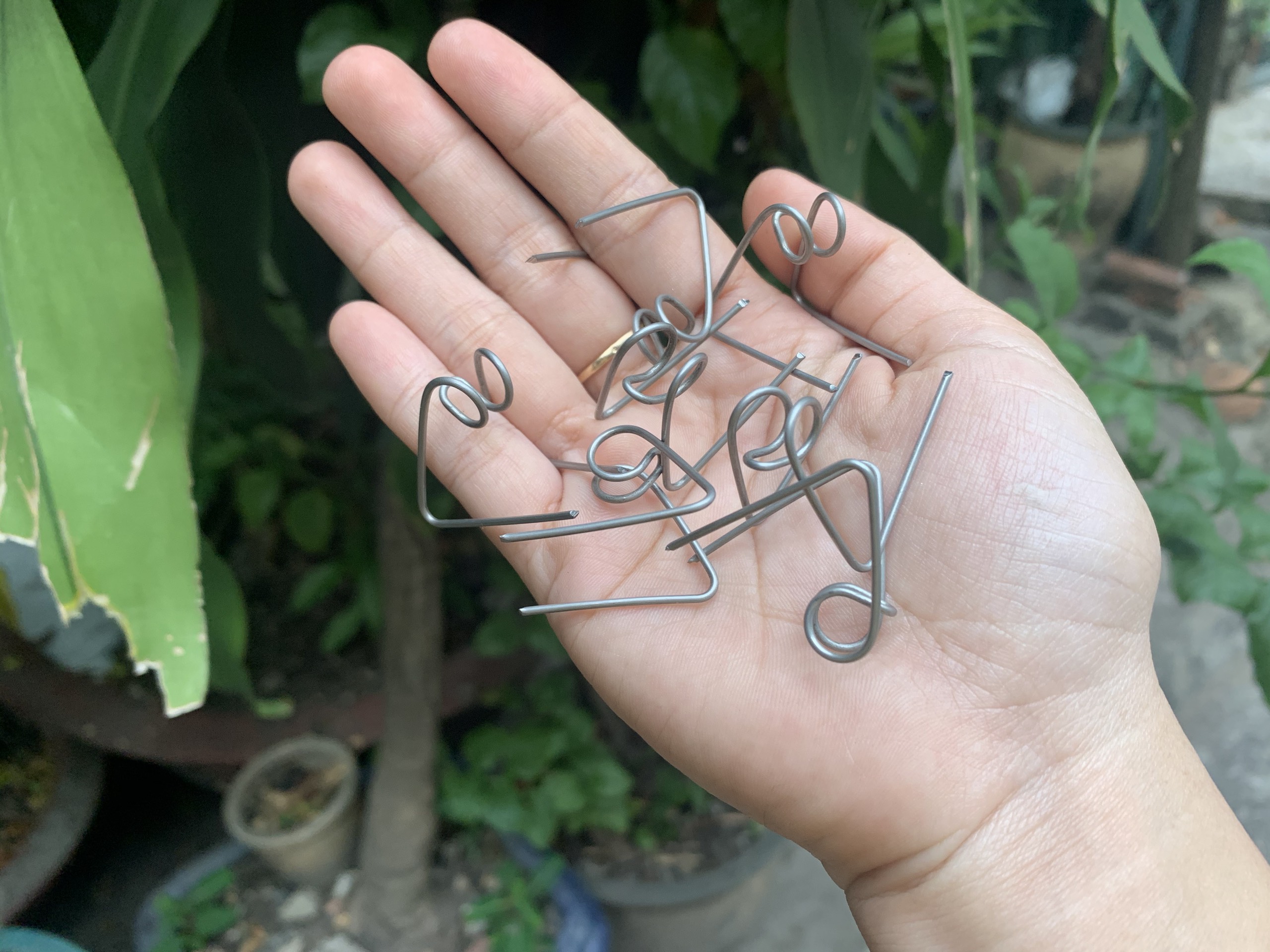 Phe cài giữ bố cho heo brem