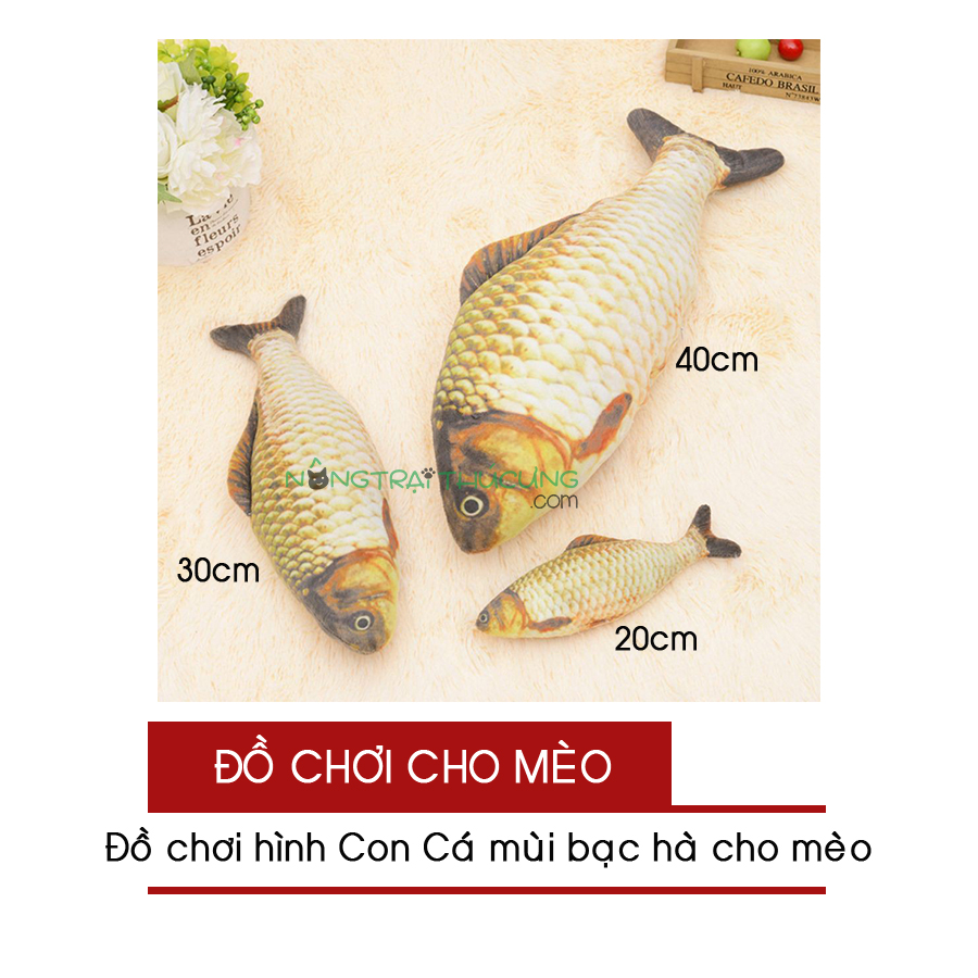 Đồ chơi cho Mèo - Hình Con Cá có Catnip (Giao mẫu ngẫu nhiên) - [Nông Trại Thú cưng]