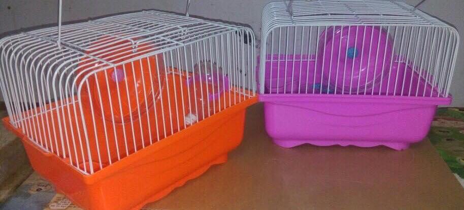 [HCM]Lồng hamster xách tay .