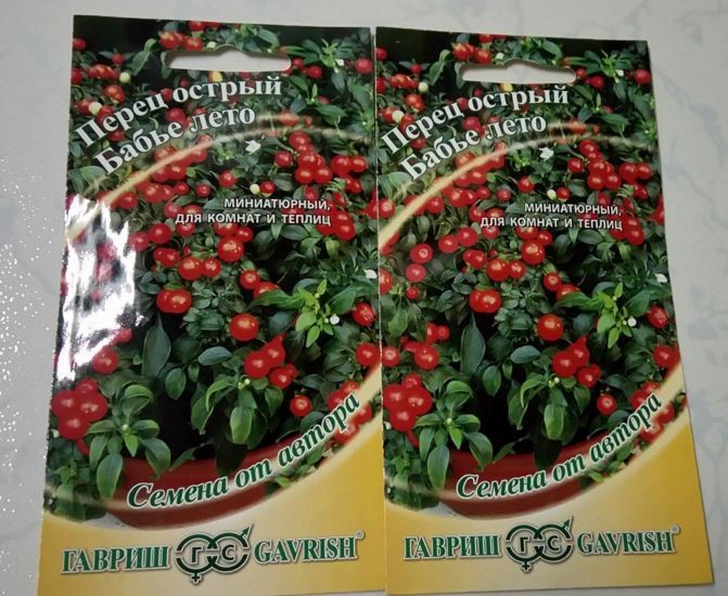 Hạt giống Ớt kiểng quả tròn - Gói 30 Hạt