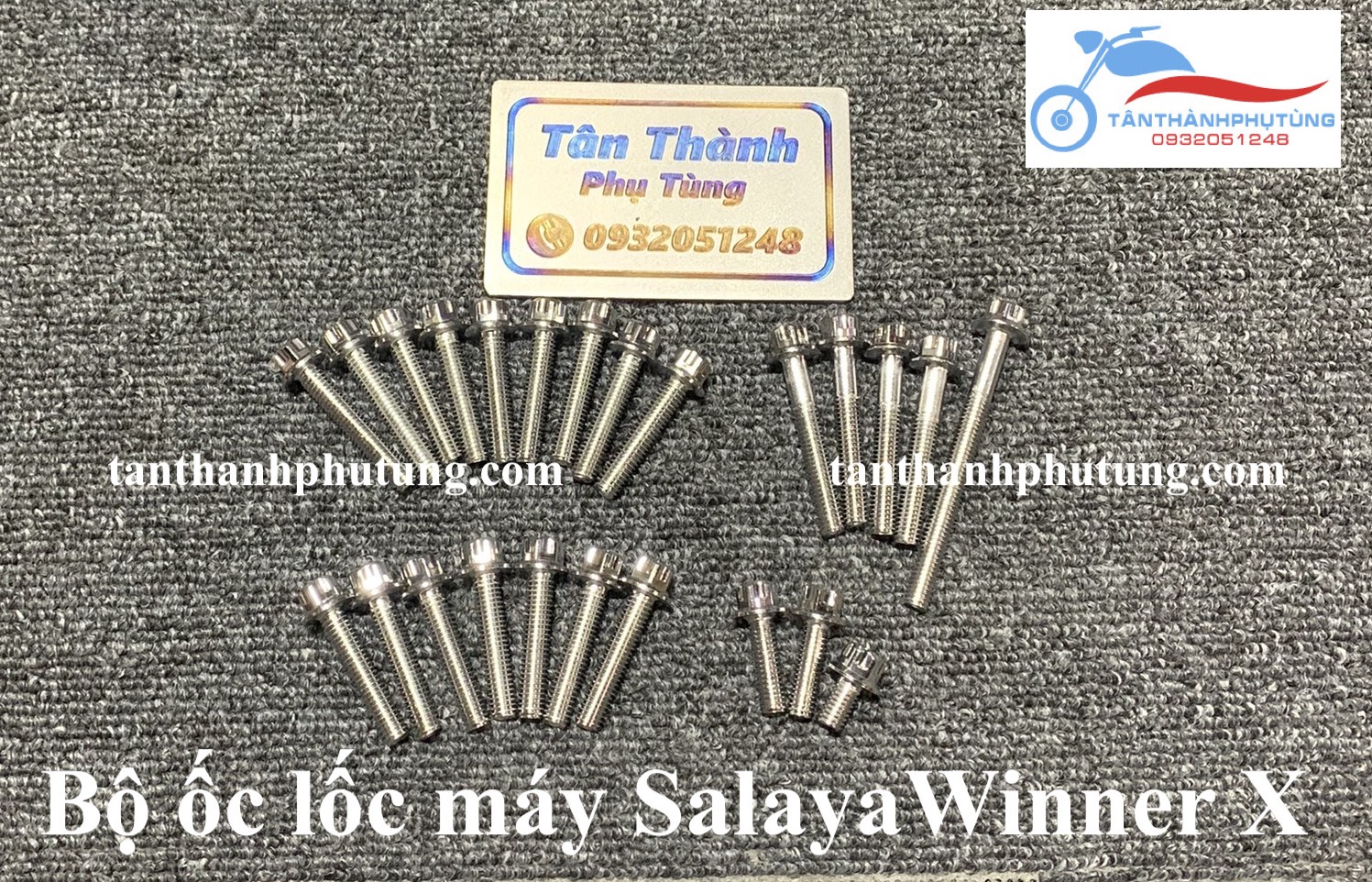 Bộ ốc lốc máy SALAYA cho Winner X - 24 con
