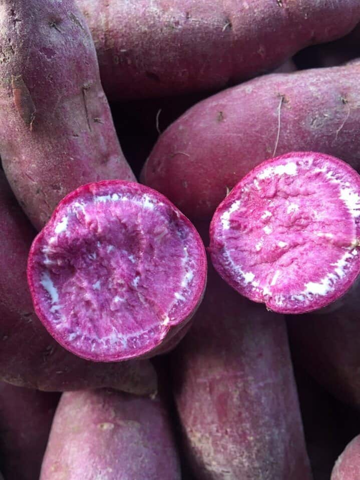 Bột Khoai Lang Tím Gói 50g
