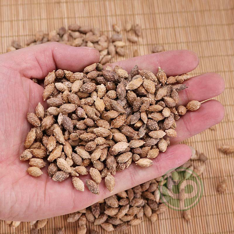 Ké đầu ngựa khô 1kg - Hàng sạch thơm cao cấp - Thảo Dược Tấn Phát - Hàng sạch thơm cao cấp