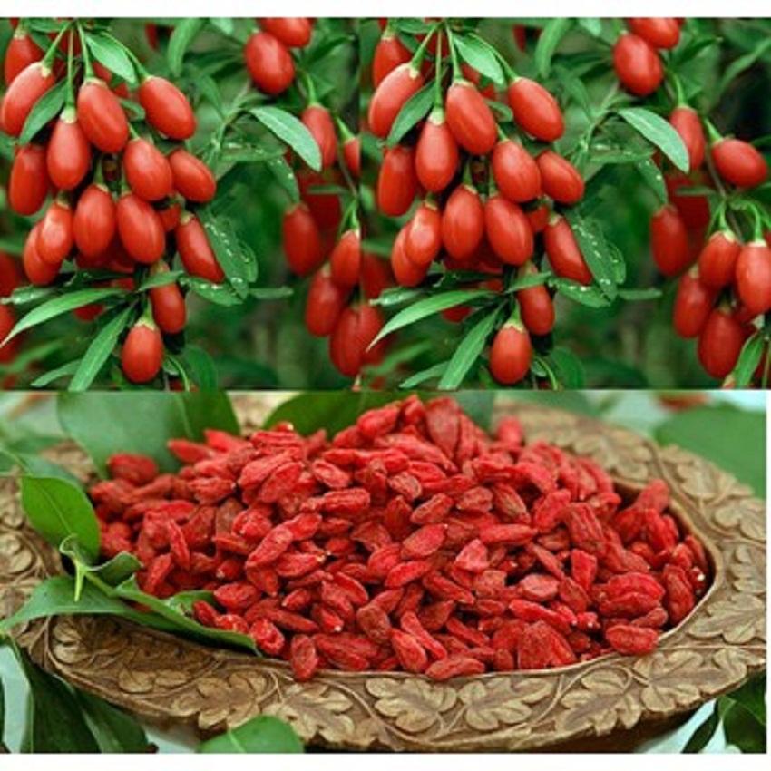 500g  Quả Kỷ Tử sấy khô  -  Có tặng Quà