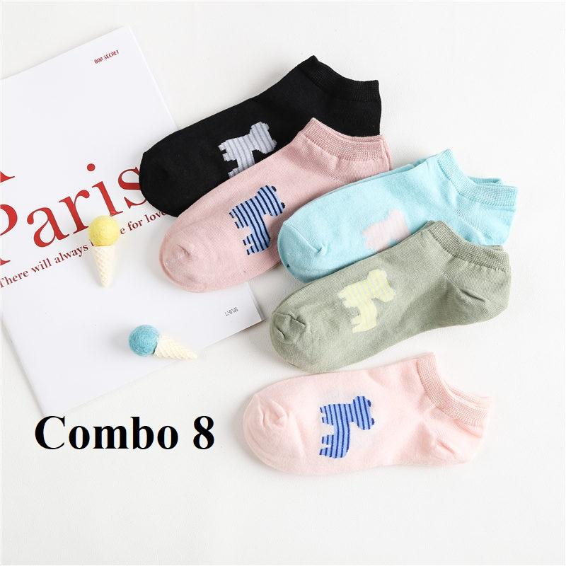 20 mẫu Combo 5 đôi tất cổ ngắn Hàn Quốc