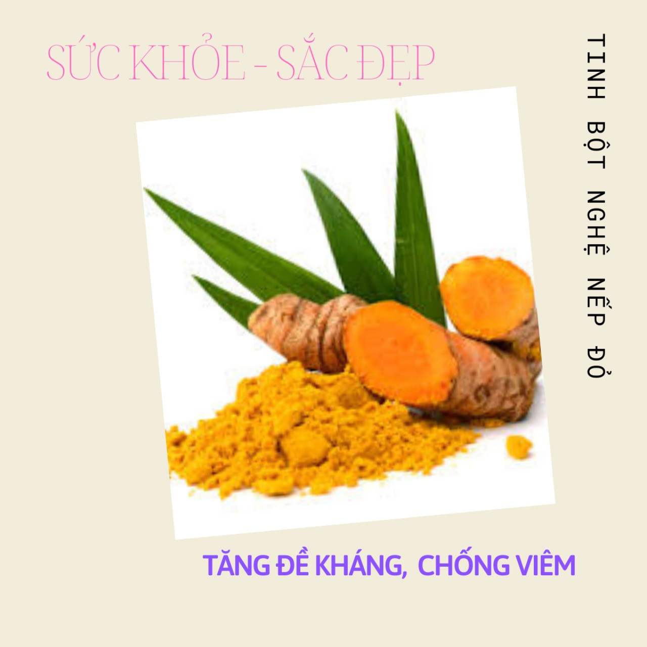 Tinh bột nghệ Nếp Đỏ, ĐẸP DA, MỜ VẾT THÂM