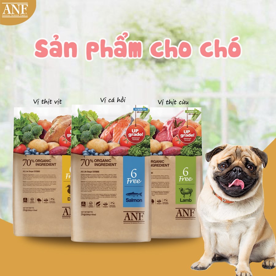 Free ANF 6 dog food 2kg