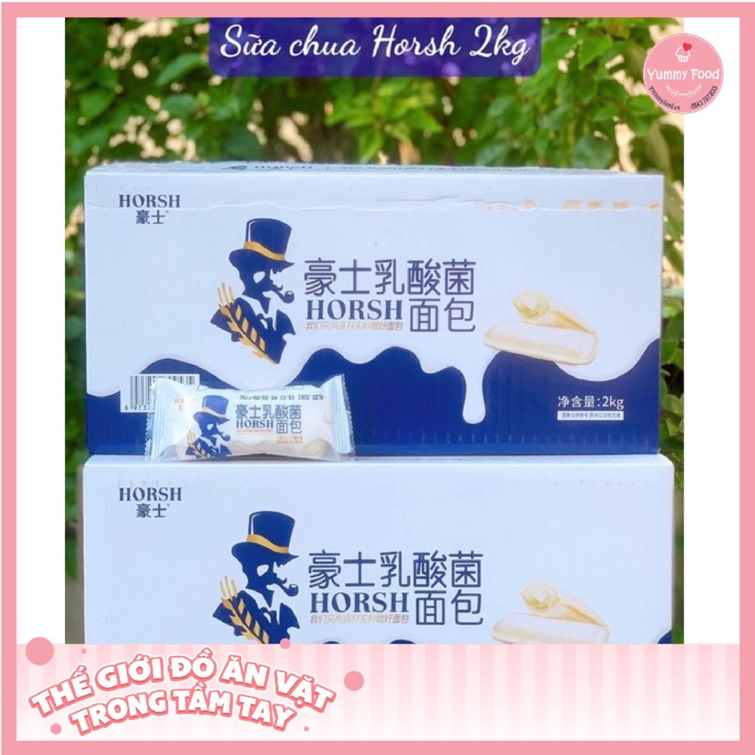 1 thùng bánh sữa chua 2kg