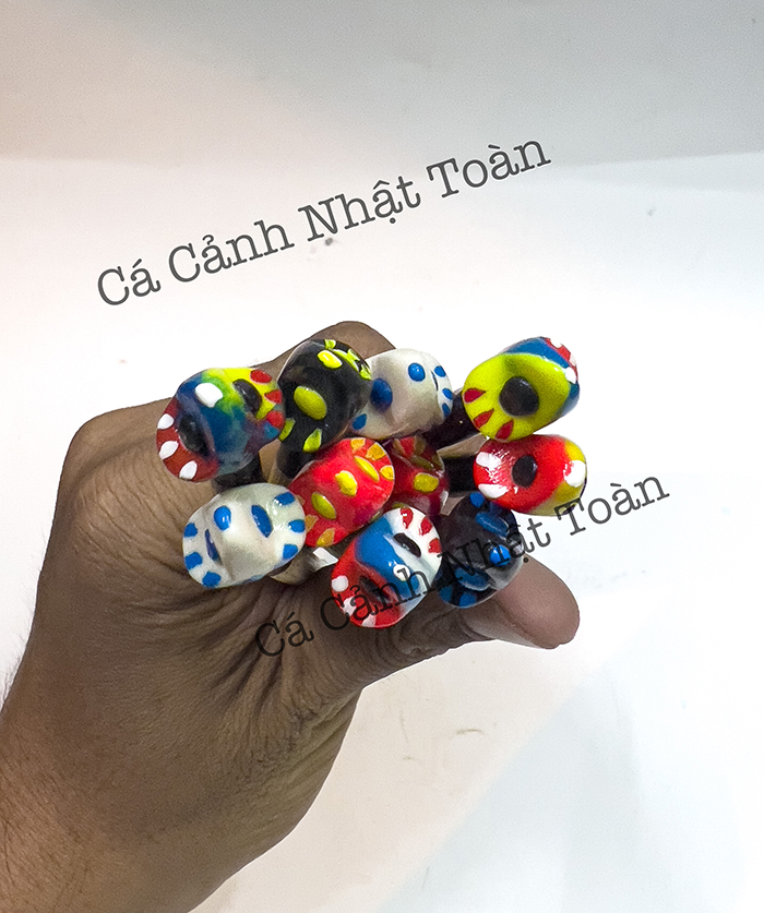 CÂY KÈ CÁ BETTA DÀI 20CM (MÀU NGẪU NHIÊN)