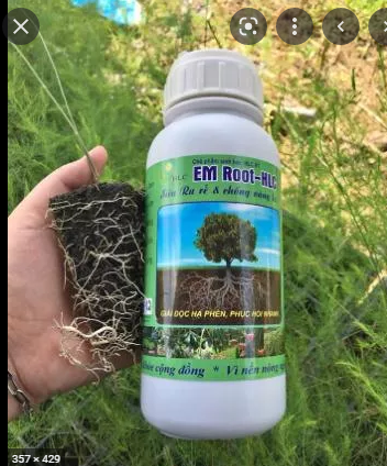 Ra rễ cực mạnh- Bật đọt - Hạ phèn giả độc - EM Root- HLC. Chai 500 ml