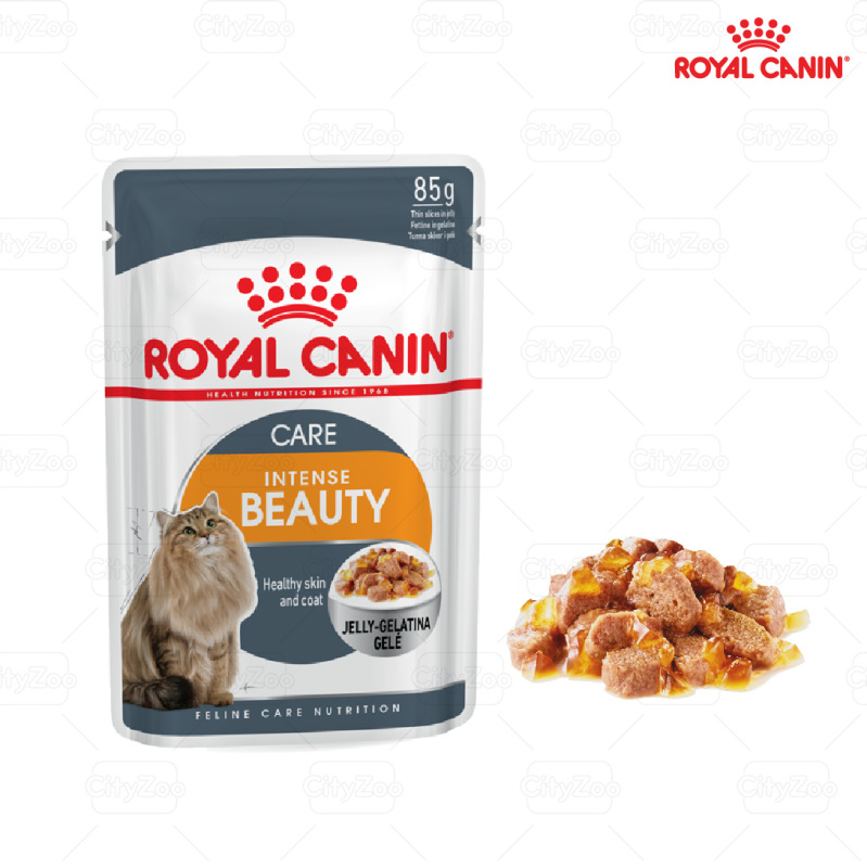 Royal Canin Intense Beauty jelly -gravy – chăm sóc lông khỏe đẹp