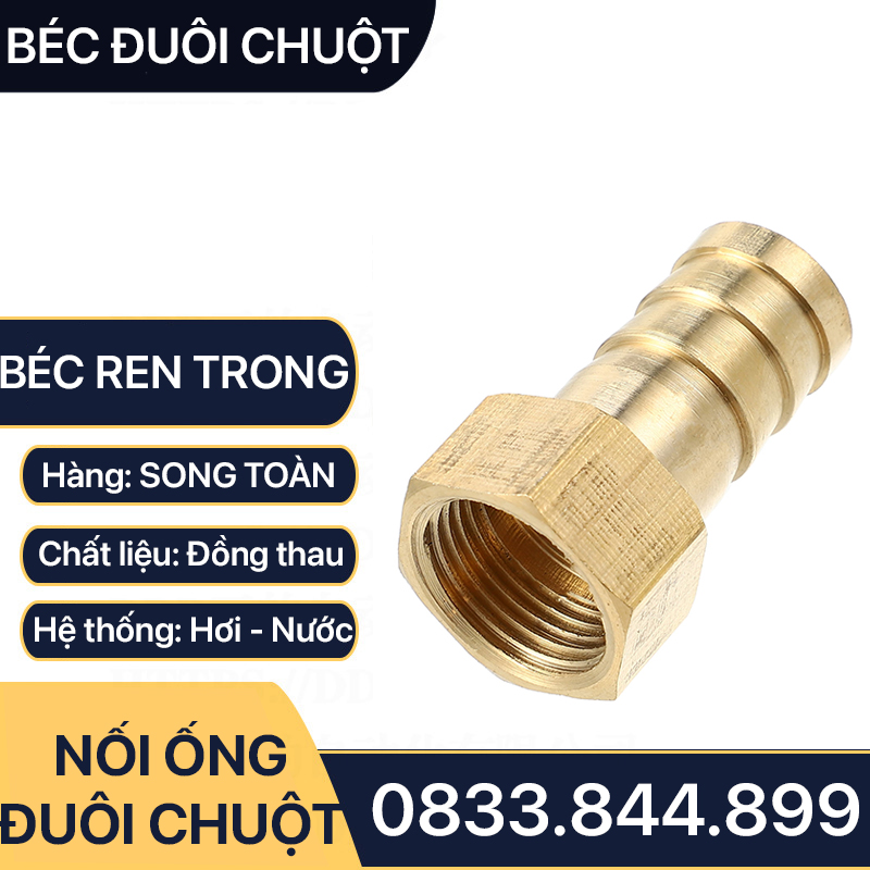 Đầu Nối Ren Trong 17 Đuôi Chuột Cắm Ống Mềm Lòng Trong Đồng Brass Barbed Hose Fitting