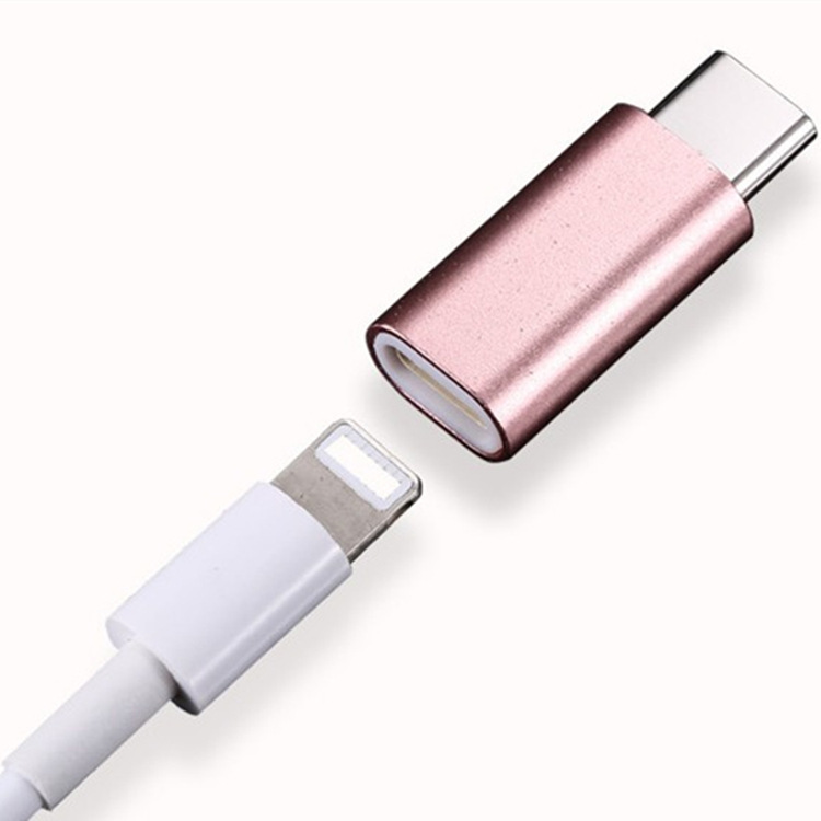 Đầu chuyển đổi từ Lightning sang Type C (Chui bự)