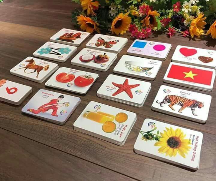 Bộ Thẻ Học Thông Minh 16 Chủ Đề Cho Bé
