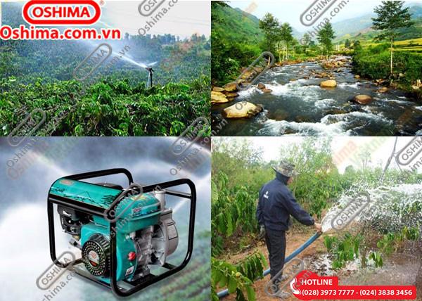 MÁY BƠM NƯỚC OSHIMA OS-30