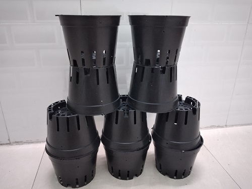 COMBO 10 Chậu nhựa trồng lan size 16