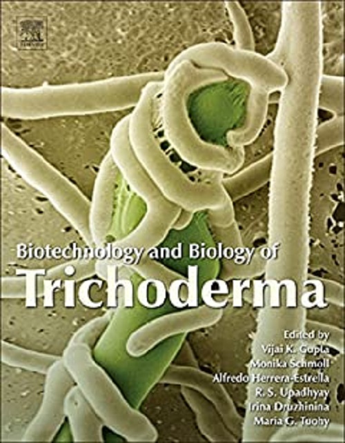Nấm đối kháng Trichoderma Điền trang 1kg