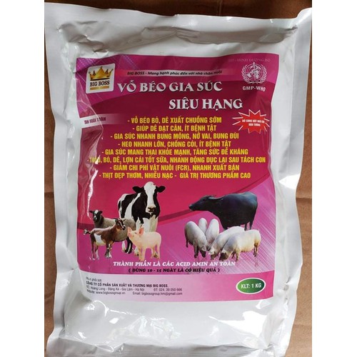 vỗ béo gia súc siêu hạng