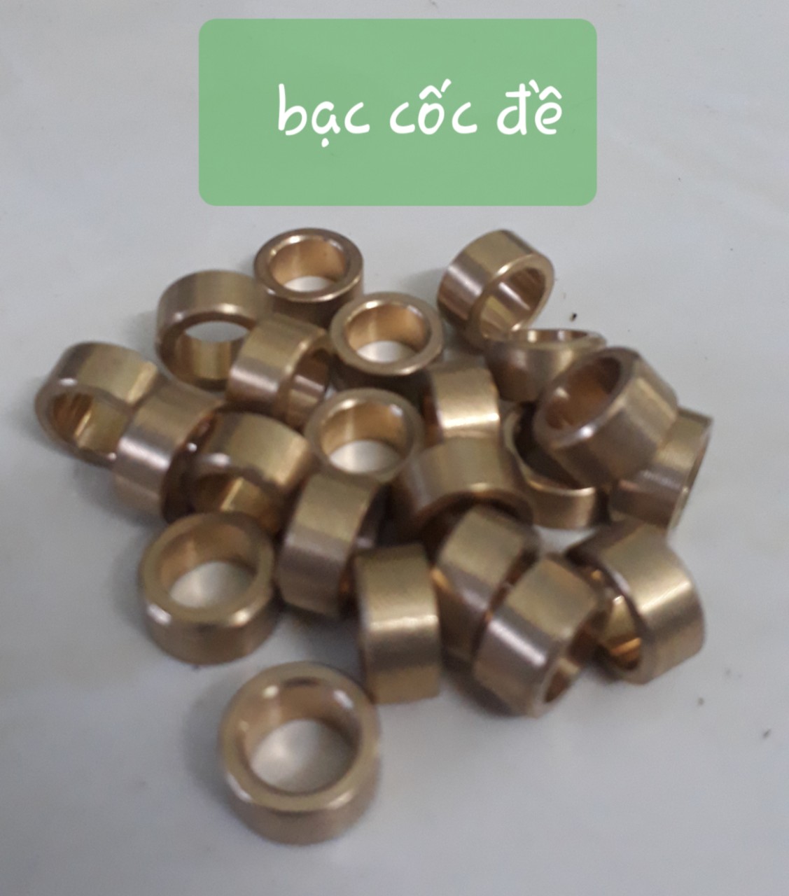 Cây đóng bạc Cốc đề