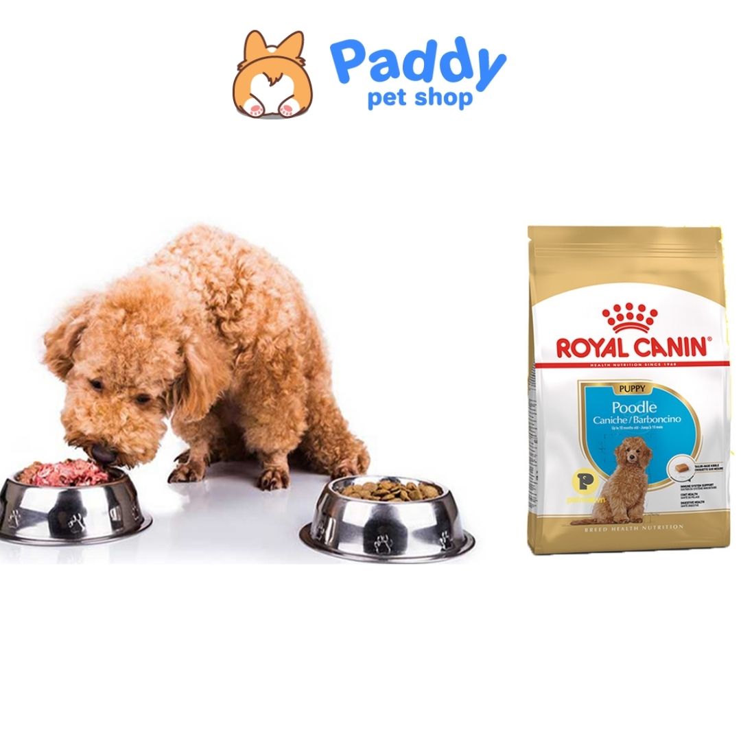 Hạt Cho Chó Con Poodle Royal Canin Poodle Puppy