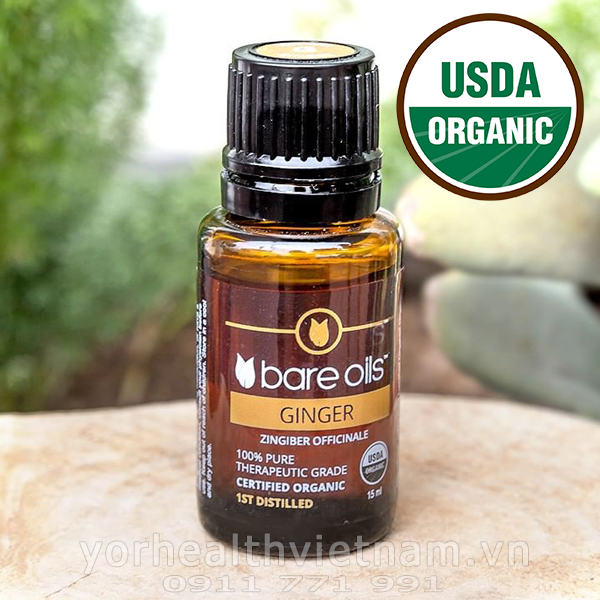 Tinh dầu gừng - Ginger Essential Oil (Tinh dầu hữu cơ Bare Oils - USDA Organic) 15ml