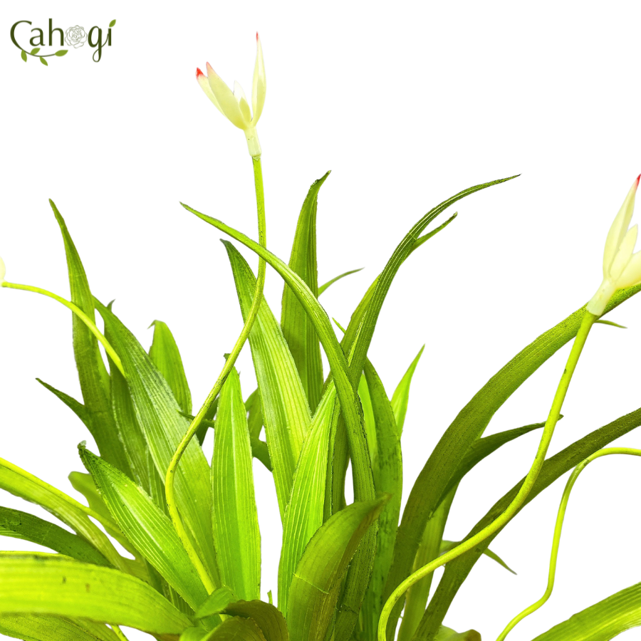 Cây Giả Cây Lan Chi 2 Nụ