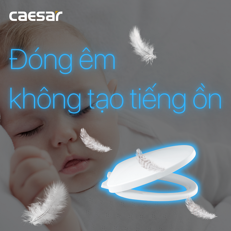 CAESAR M256 Nắp Êm Bồn Cầu