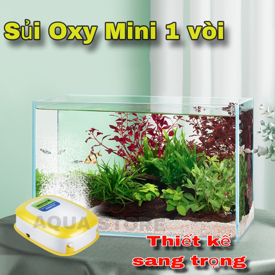 Máy Sủi Oxy KINTONS 1 vòi KT9903 - Máy bơm Oxy