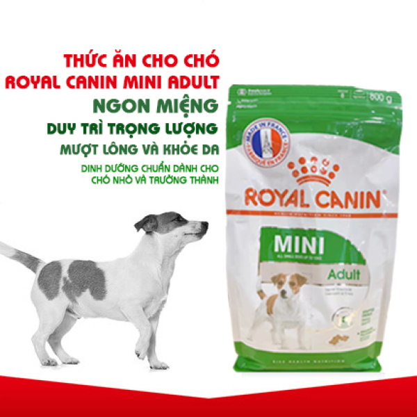 Hạt Royal Canin Mini Adult Cho Chó Trưởng Thành Giống Nhỏ