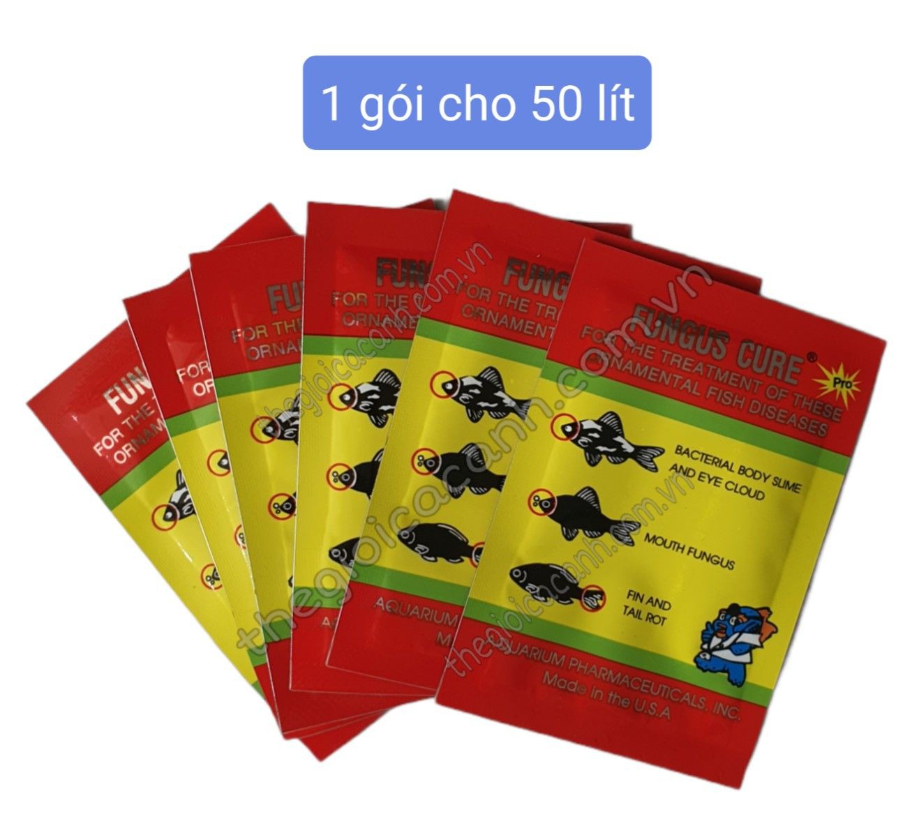 Fungus Cure - xử lý cá nhiễm khuẩn nấm đục mắt thối rữa vây và đuôi