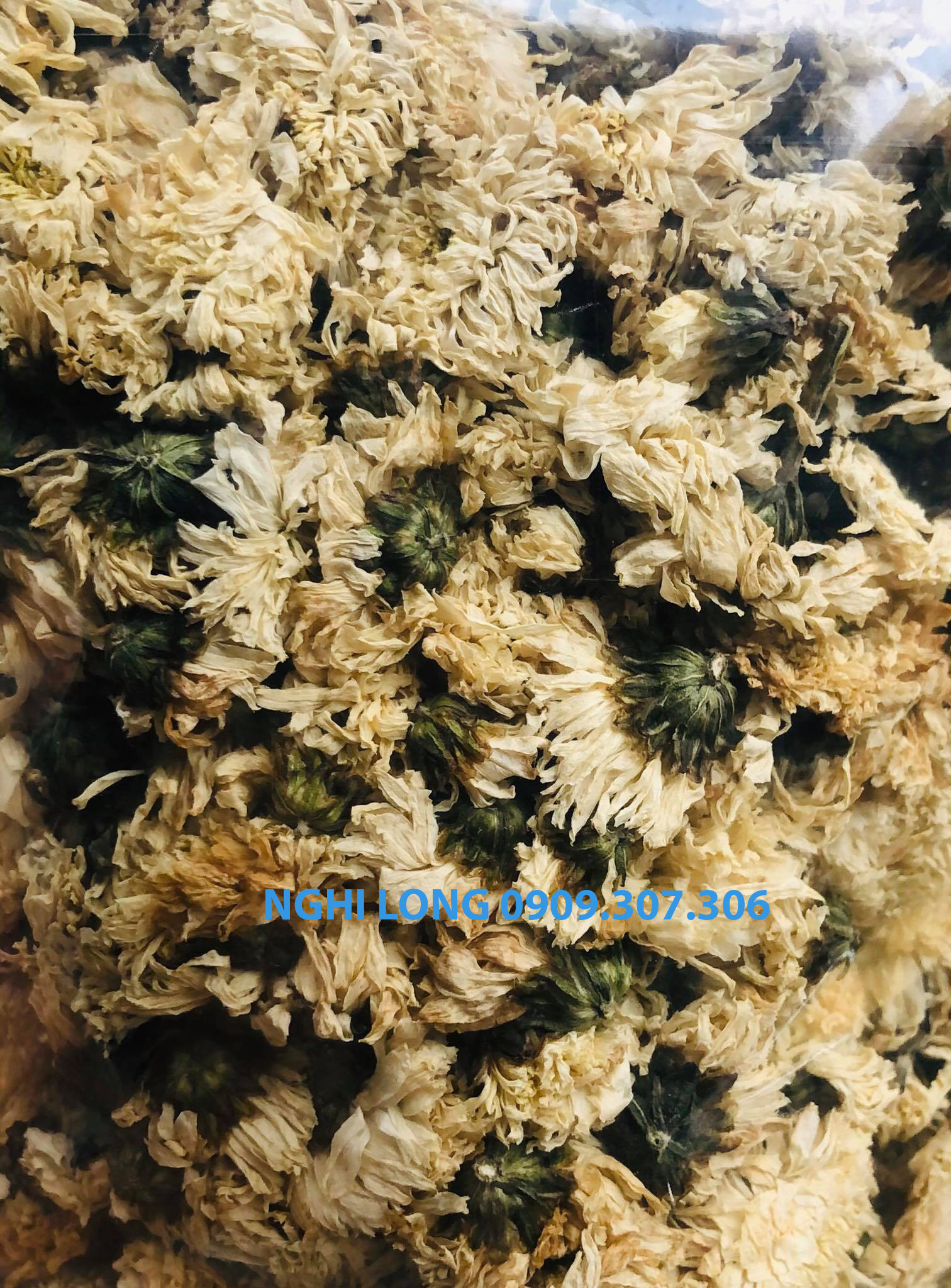 [HCM]Bông Cúc Trắng Xấy Khô 500G